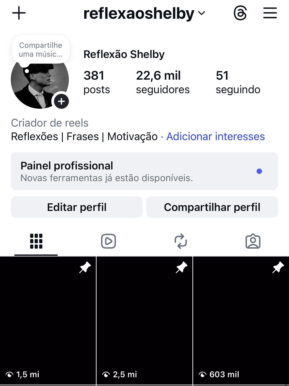 Perfil @reflexaoshelby